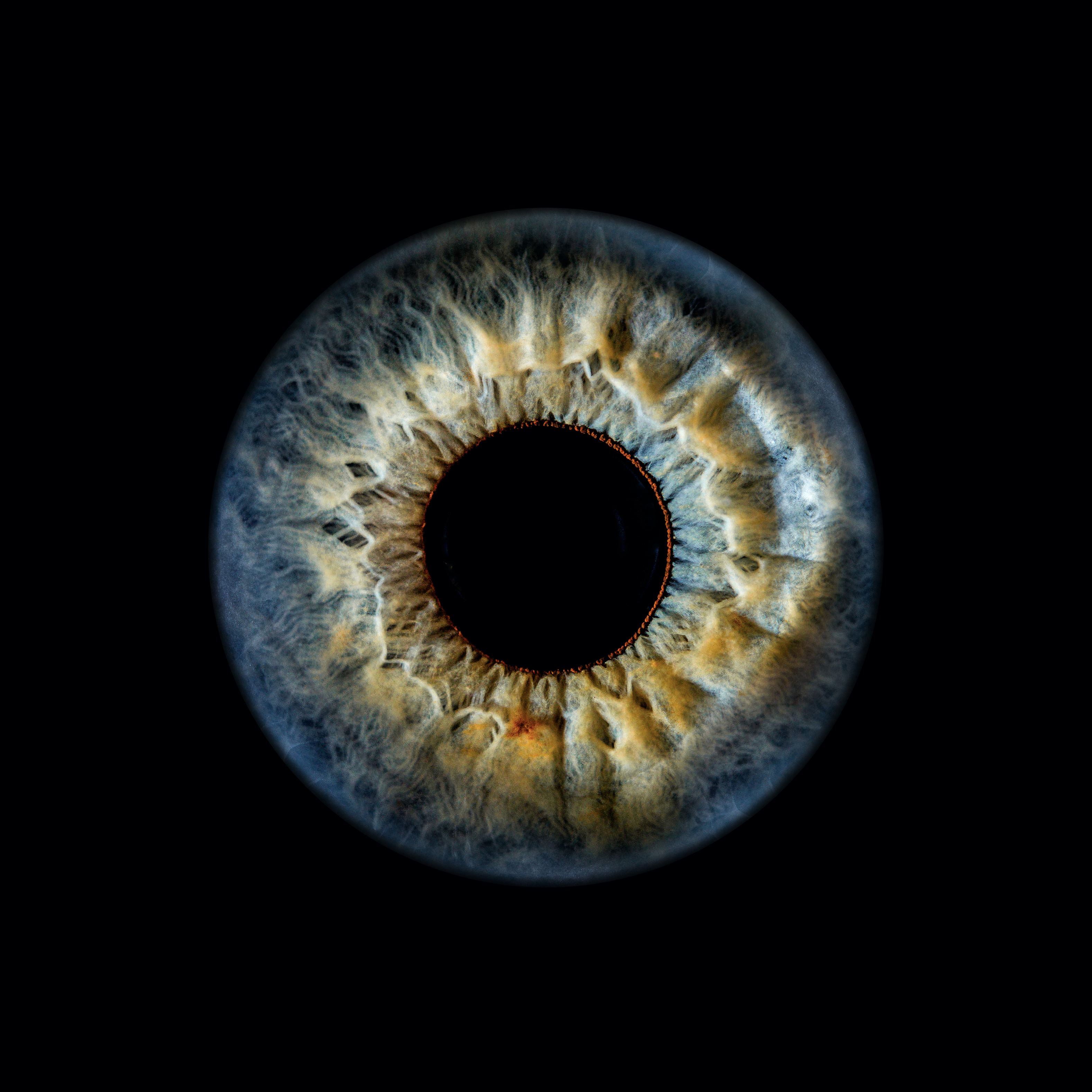 Human eye close-up