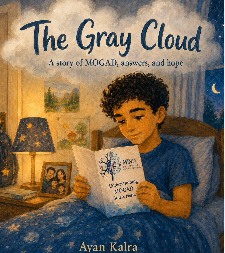 The Gray Cloud book cover